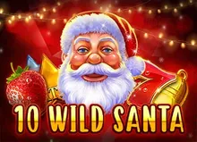 10 Wild Santa