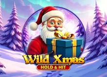 Wild Xmas -  Hold & Hit